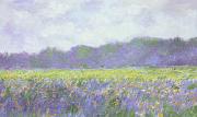 Claude Monet Field of Yellow Iris at Giverny oil painting